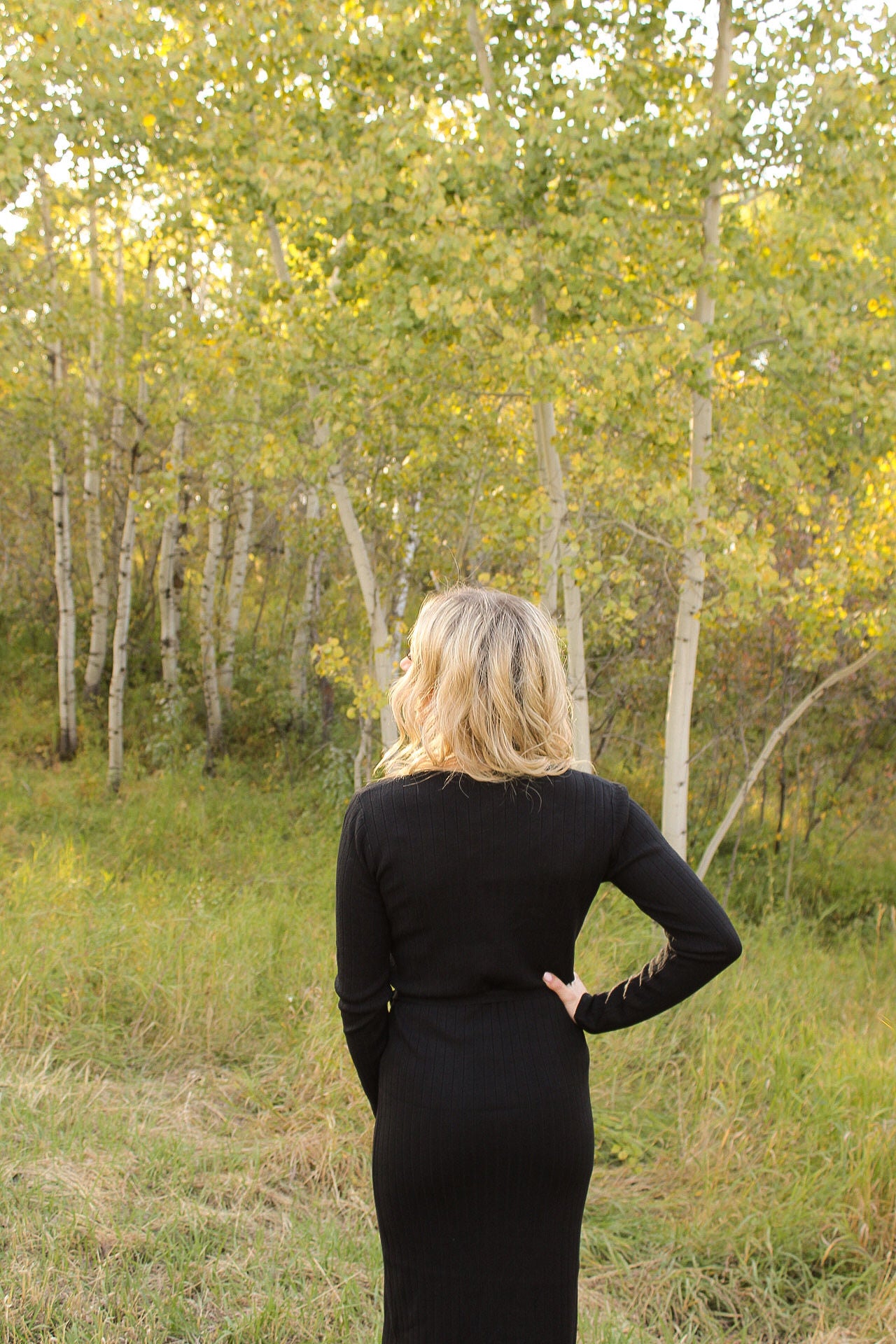 Benny Knit Dress In Black
